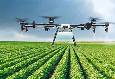 Enhancing Food Safety with Agriculture Management Technology